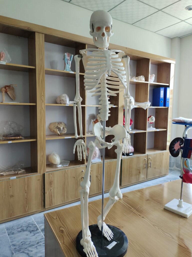 Noble College Lab19